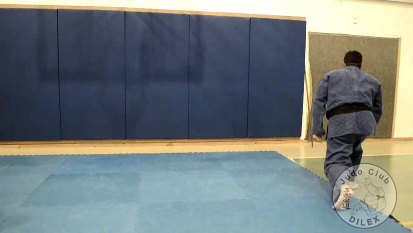 Ippon Seoi Nagi